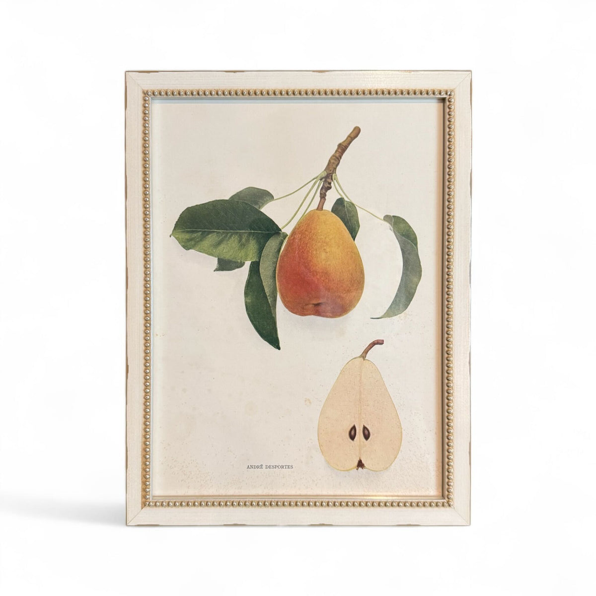 Pears of New York I